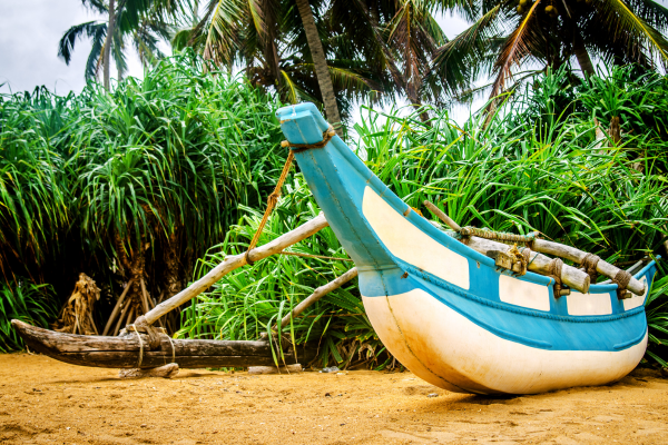 Circuit L'essentiel du Sri Lanka et plage de Kalutara - 11