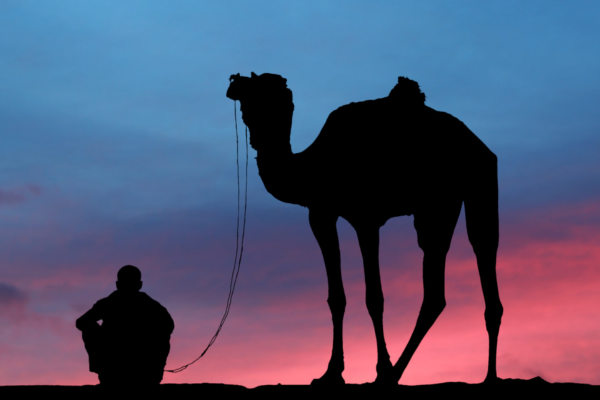 Circuit Emirats entre Dunes et Gratte-Ciels en Privatif - 7