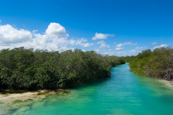 Circuit Secrets Mayas et Douceurs des Caraïbes en Privatif - Vols Flex - 35