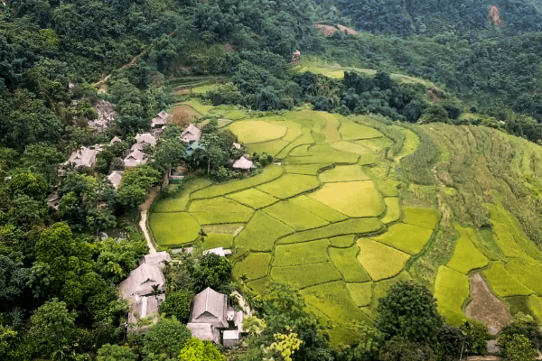 Vietnam - Circuit Des Rizières de Mai Chau à la Baie d'Halong