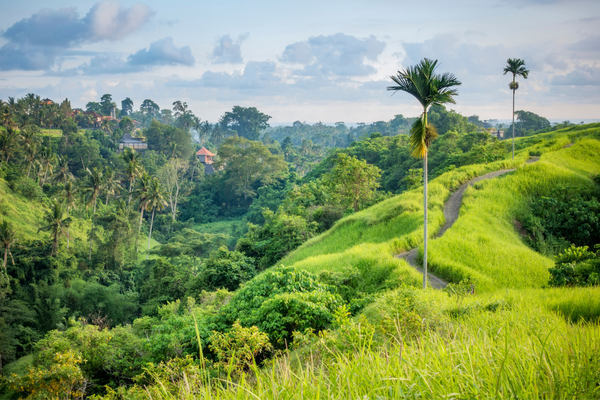 Combiné Jungle et Plage de Bali 4* - 4