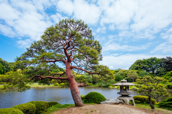 Image 12 du séjour Circuit Trésors de l'Archipel Nippon en Liberté à Osaka, Japon