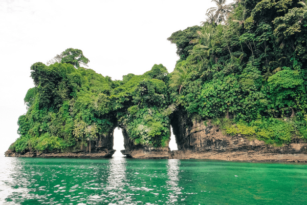 Circuit Dans le Sillage des Corsaires : De Panama à Bocas del Toro - 42