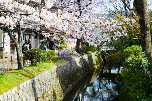 Japon - Circuit Mangas et Capitales, le Japon en Famille & en Liberté