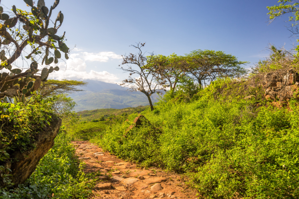 Circuit Villa de Leyva, Barichara et Viva Colombia ! **Nouveauté 2026** - 48