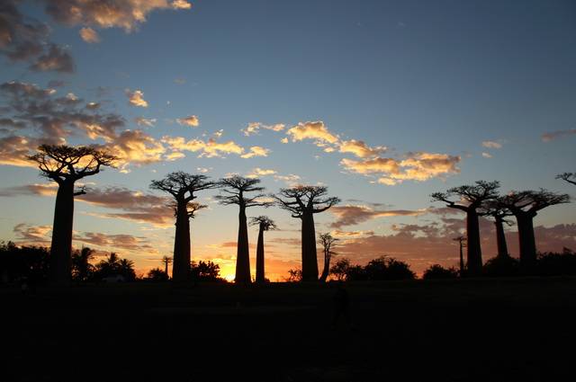 CIRCUIT MADAGASCAR L'ILE ROUGE 3*
