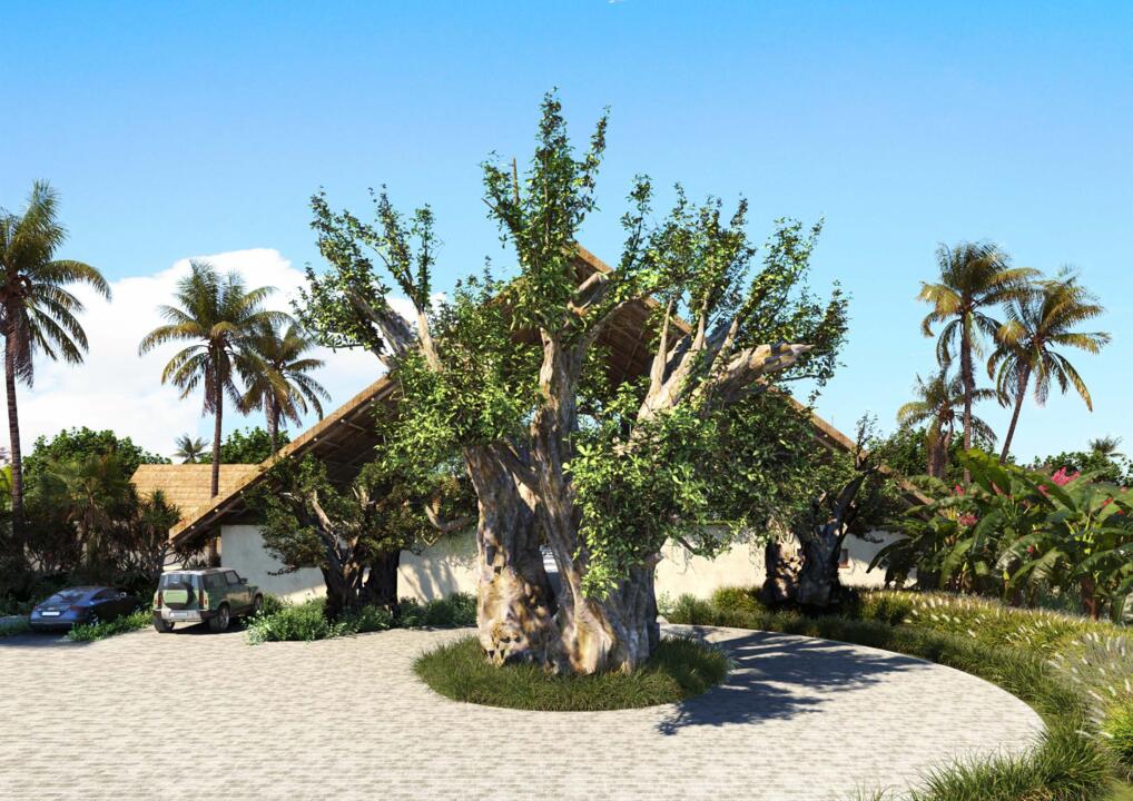 Jaz Aurora Beach Hotel 5* - 14