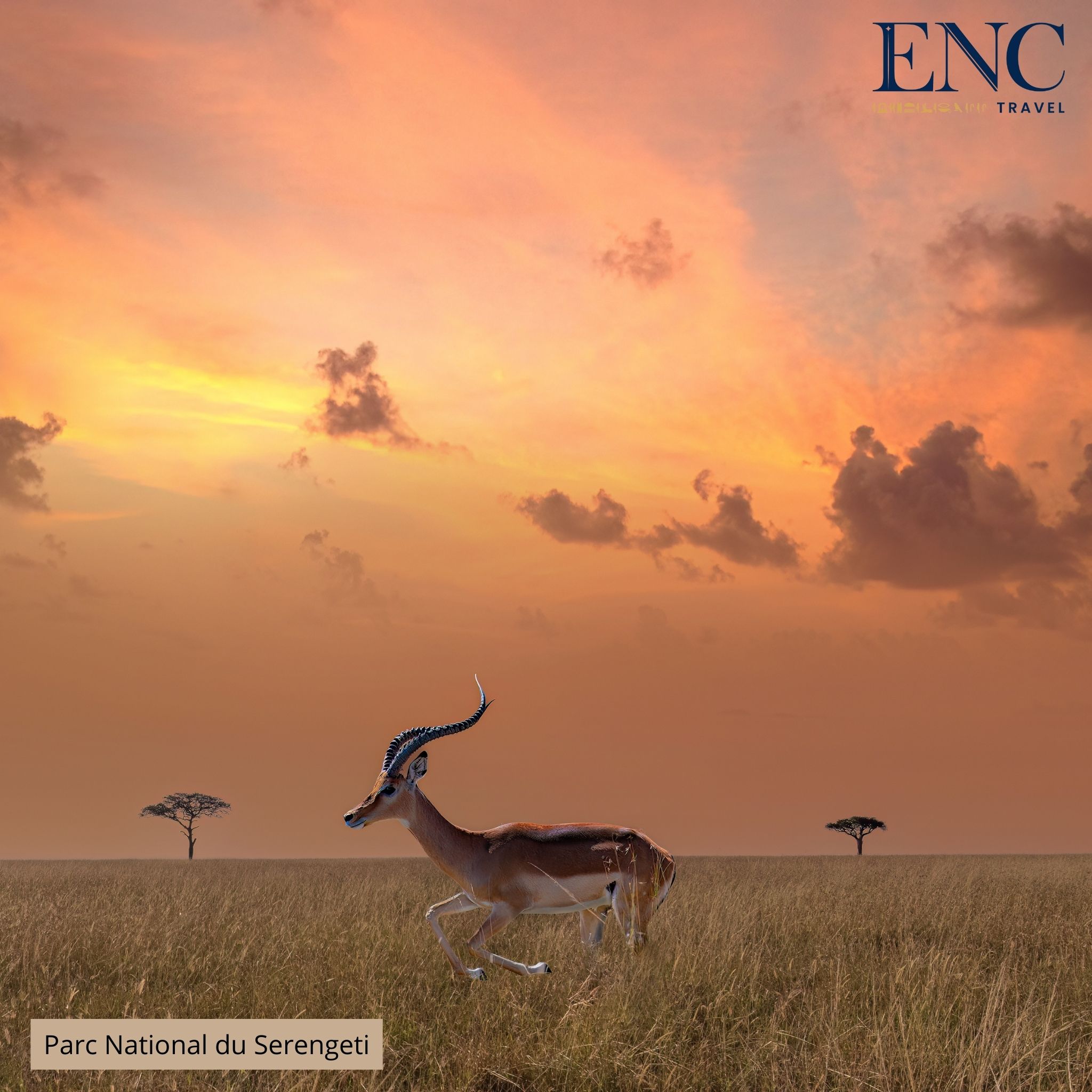 Photo Circuit ENC Travel