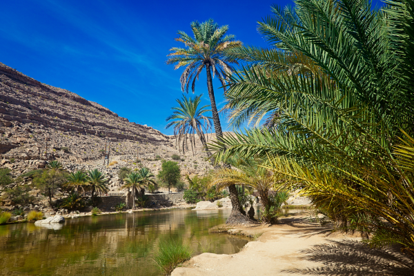 Circuit Les Mystères d'Oman - 23