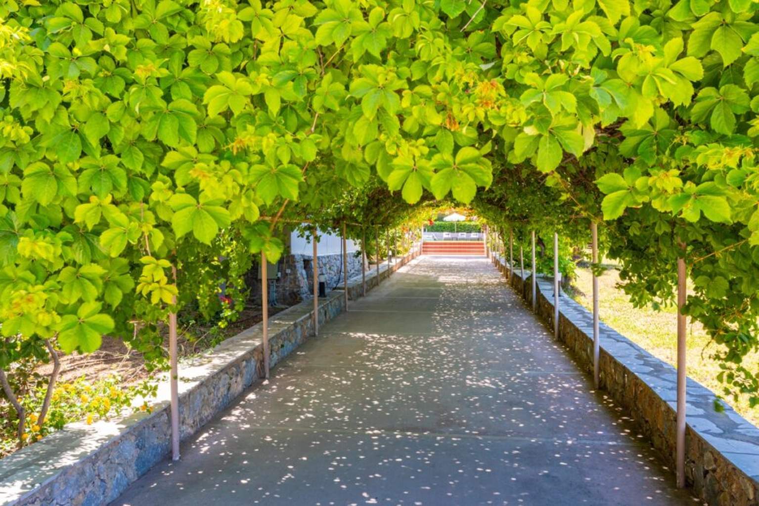 Hotel Dias By Azul Collection 4* - 28