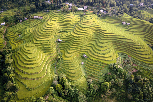 Circuit Sur les traces des Minorités : Nord Vietnam et Baie d'Halong - 19