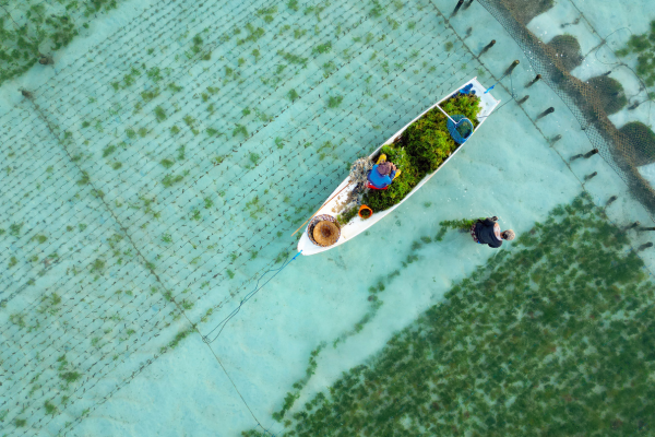 Combiné Des Rizières de l'île des Dieux aux eaux turquoise de Nusa Lembongan 4*