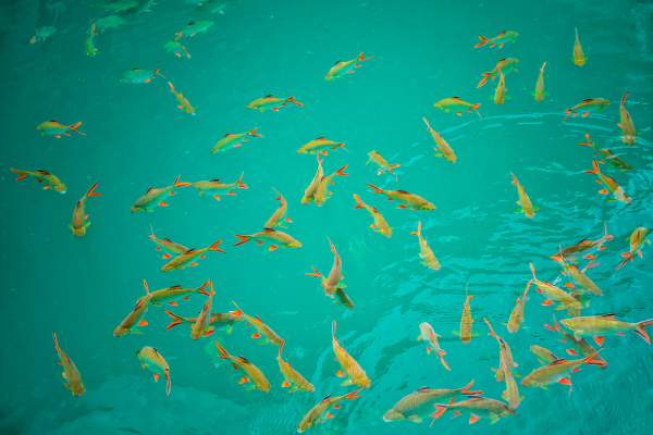 FLEX Les paradis du Sud de la Thaïlande - 21