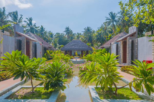 Circuit Ceylan au coeur du Patrimoine et plages des Maldives 5* - 20