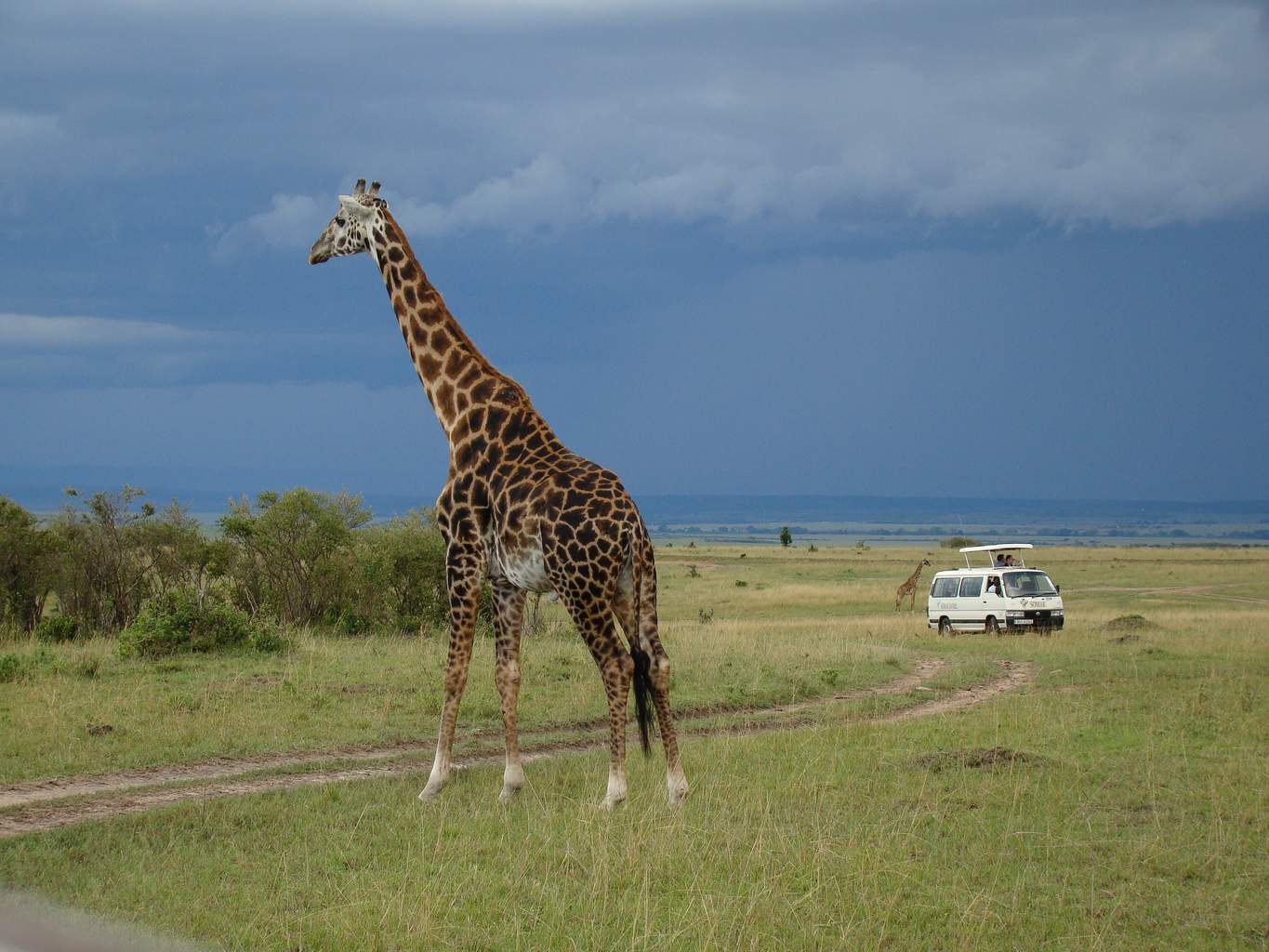 Mon Safari Privé Terres Mythiques du Kenya - 7