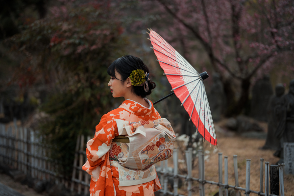 Ohayo Nippon, Du Mont Fuji à l'île des Torii - 25
