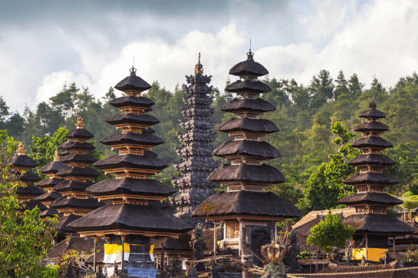 Bali - Indonésie - Circuit Lotus de Bali