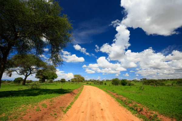 Tanzanie - Circuit Tanzanie, Entre Faune & Lagons de Jambiani en Privatif