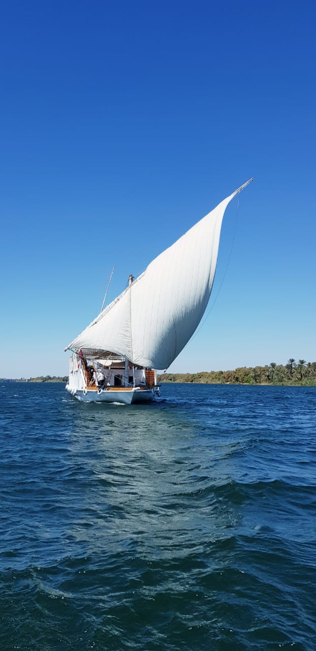 Photo Combiné Egypt Nile Cruises - Nile Aviation