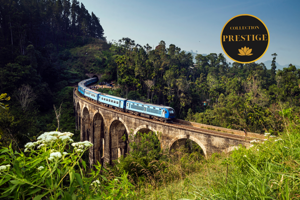 Circuit Sri Lanka Signature : Nature, Culture et Luxe