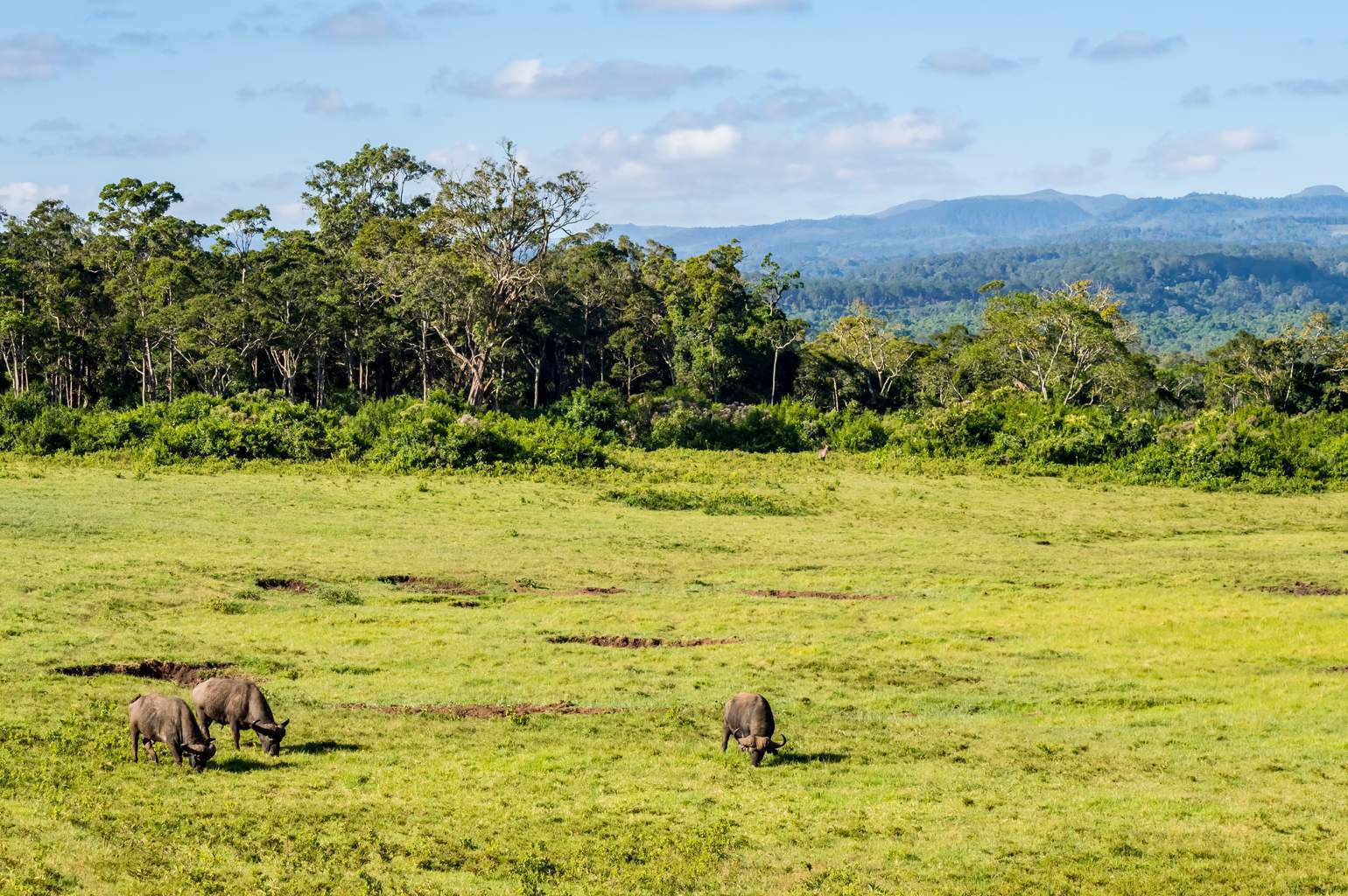 Kenya - Mon Safari Privé Horizons Kenyans&Mon French Club Mandarin Resort Zanzibar 4*