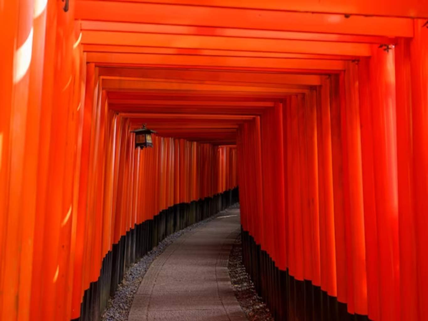 Circuit Liberté : Les Incontournables du Japon - 2