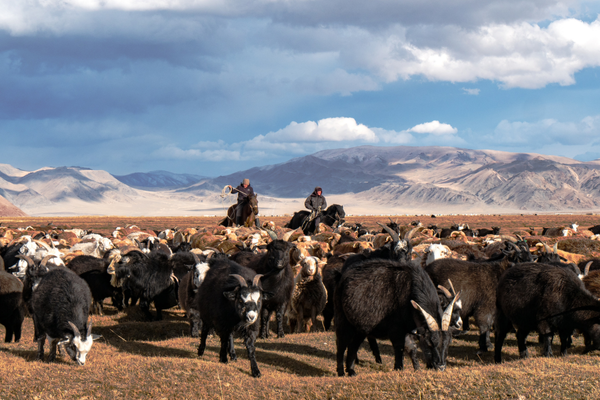 Mongolie - Circuit Epopée Nomade en Terres Mongoles