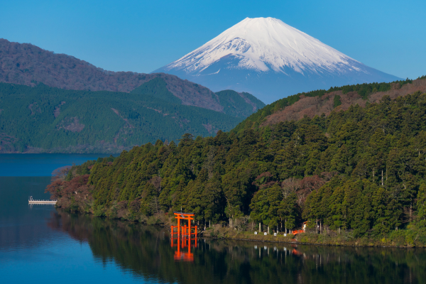 Circuit Capitales Nippones en Liberté, de Kyoto à Tokyo 3* et Ryokan