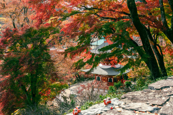 Hôtel Japon à Osaka, circuit japon eternel temples et torii au pays du soleil levant