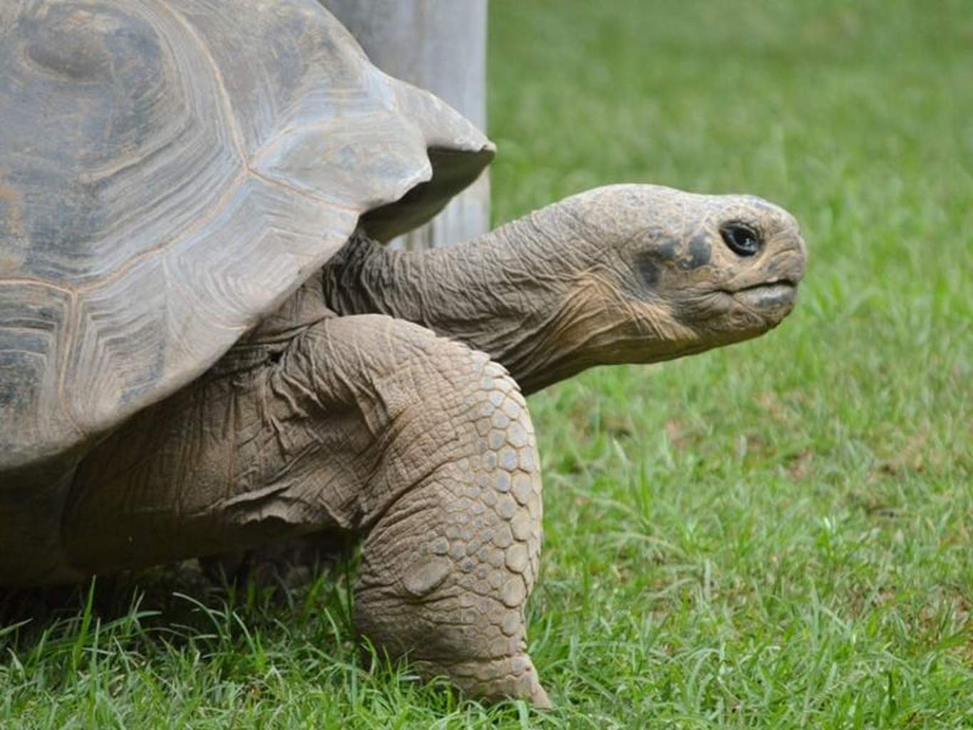 Circuit Évasion en Equateur (Petit groupe) - Extension Galapagos - 18