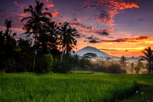 Bali - Indonésie - Combiné Jungle, Océan et Sable de Bali 4*