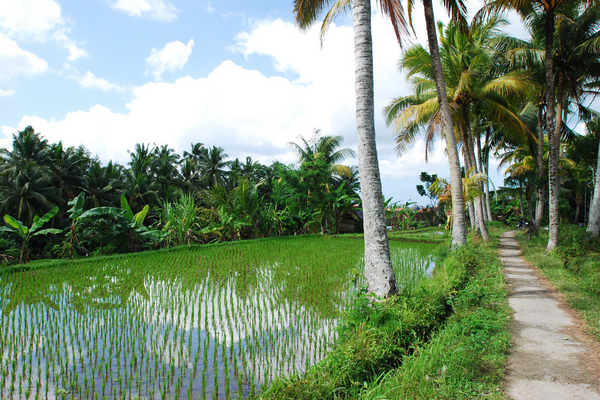 Combiné Bali, Ubud et plages PROMO 9 ou 10 jours