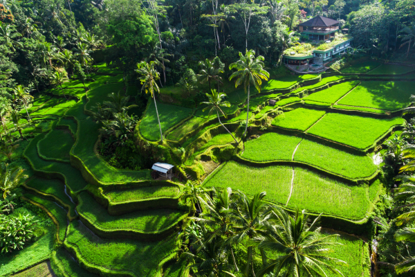 Bali - Indonésie - Circuit Charmes de Bali en Luxe et Privatif