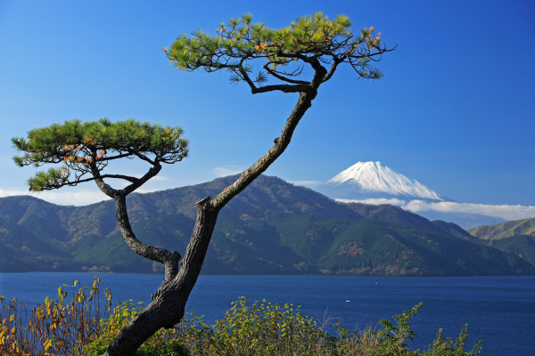 Circuit Charme du Japon d'Hier et d'Aujourd'hui, Kyoto et Tokyo en Liberté 4*