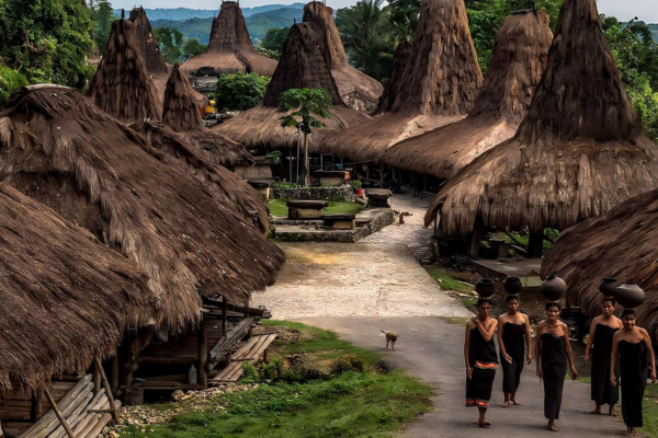 Hôtel Bali à Denpasar, circuit de bali aux terres sauvages de sumba