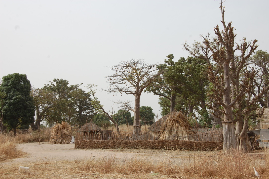 Sénégal - Circuit Privatif Evasion au Sénégal entre Culture et Plage