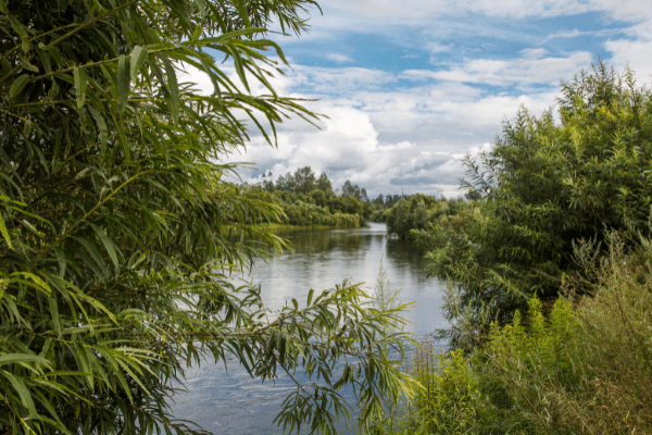 Circuit Au pays de l'Or vert autrement, Circuit Sri Lanka par Ôvoyages Circuit Au pays de l'Or vert autrement, Circuit Sri Lanka par Ôvoyages