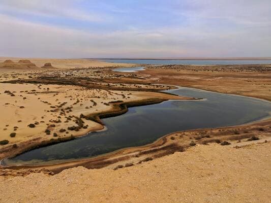 De la Légende des Pharaons à l'Oasis d'Al Fayoum - 10