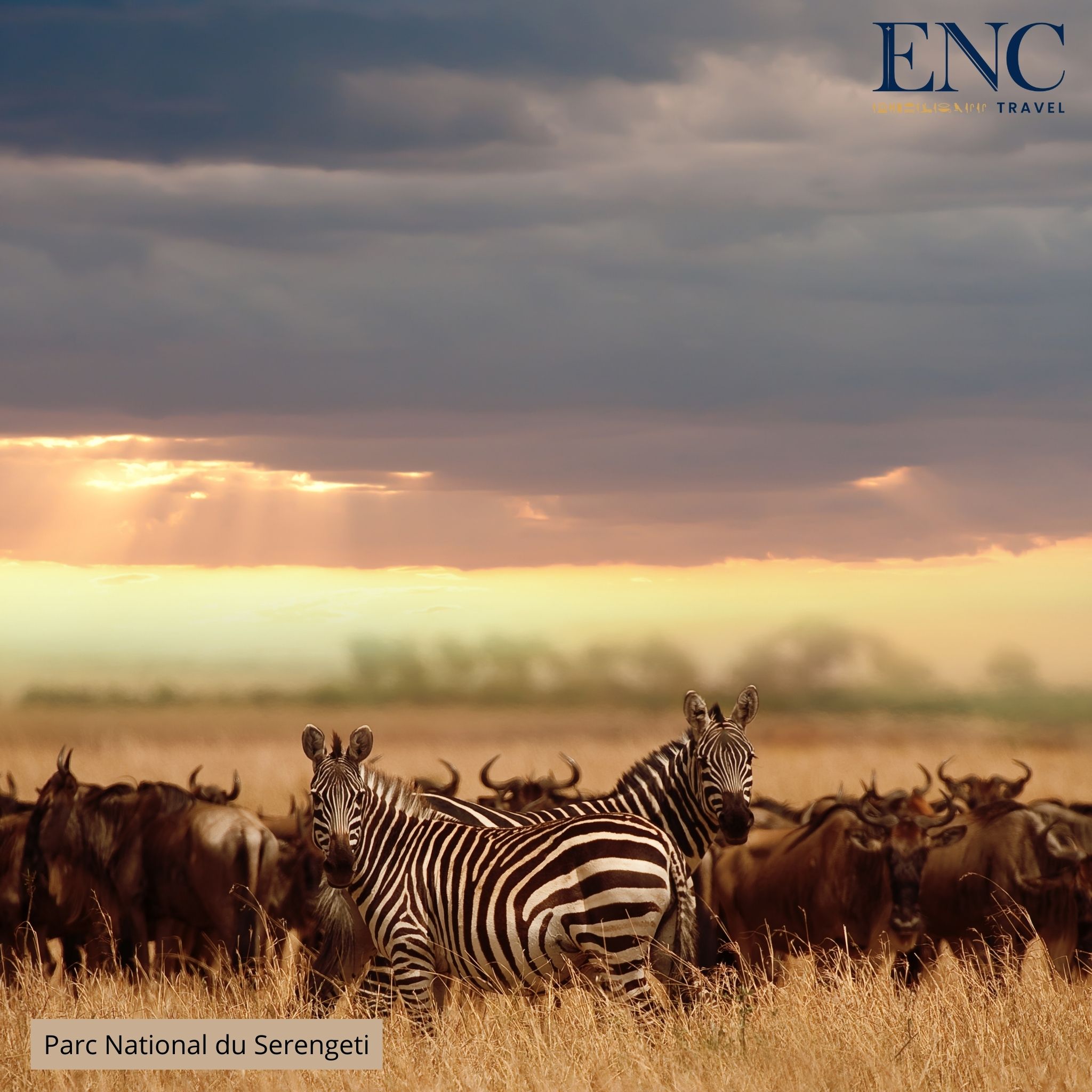 Photo Circuit ENC Travel