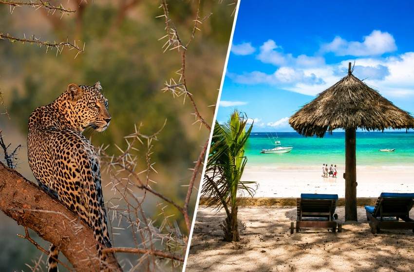 Mon Safari Privé Echappée magique au Kenya 4*