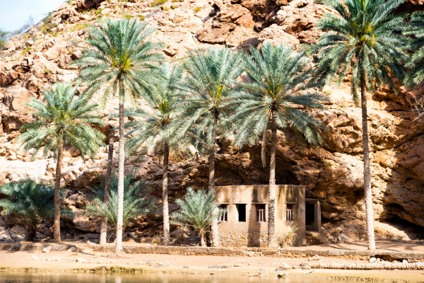 Circuit Parfums d'Oman en Privatif - Vols Flex
