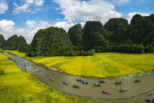 Vietnam - Circuit Passion du Vietnam en Privatif 5* **Offre Spéciale Province**
