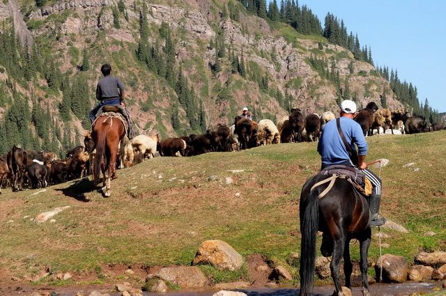 Kazakhstan - NOMAD'S LAND