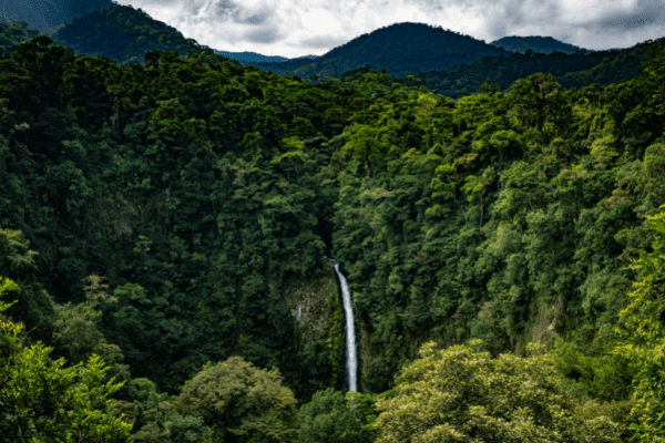 Costa Rica - Circuit Tribus et Faune Mythique du Costa Rica