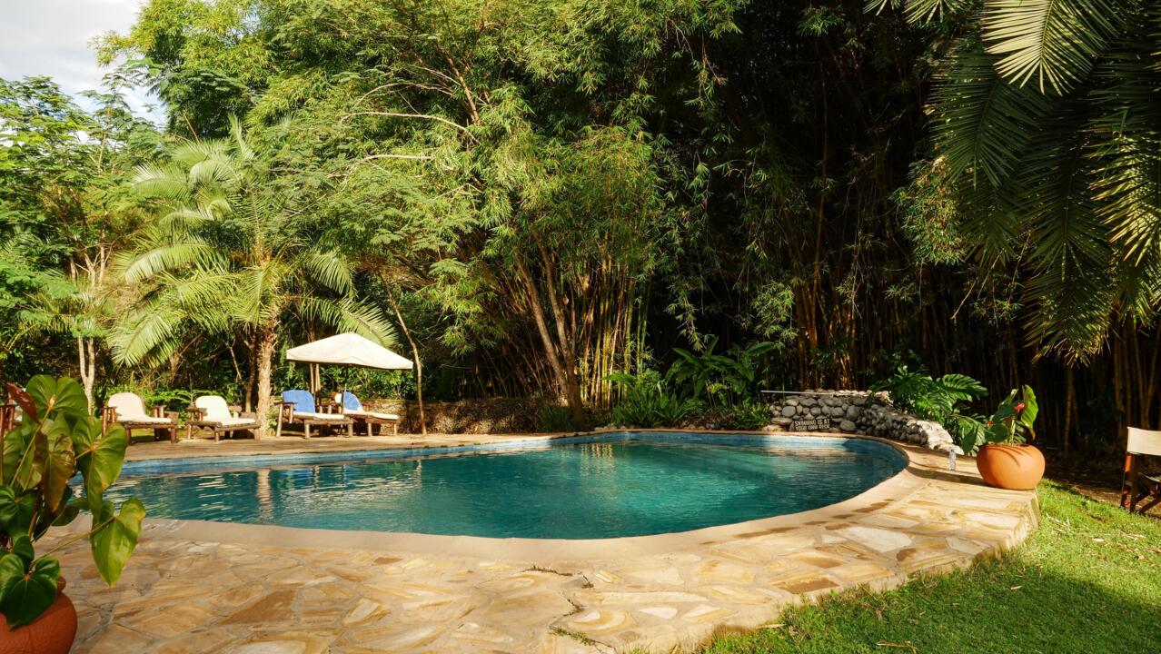 Safari Privatif - Aventure Tanzanienne - 15