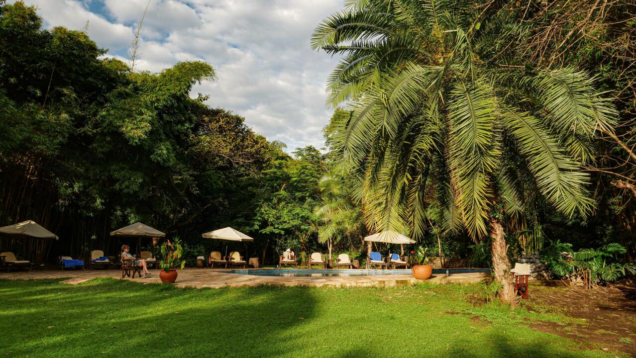 Safari Privatif - Aventure Tanzanienne - 17