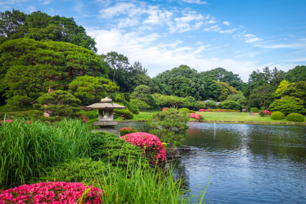 Circuit Au Coeur du Japon, Authentique et Insolite et Tokyo en Liberté