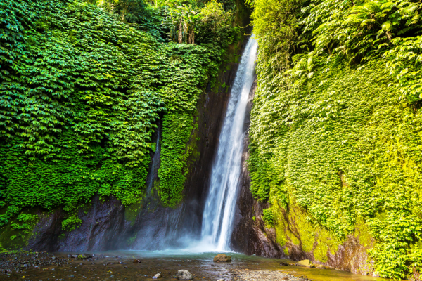 Combiné Indonésie Combiné Jungle, Cascades et Sable de Bali - Vols Flex