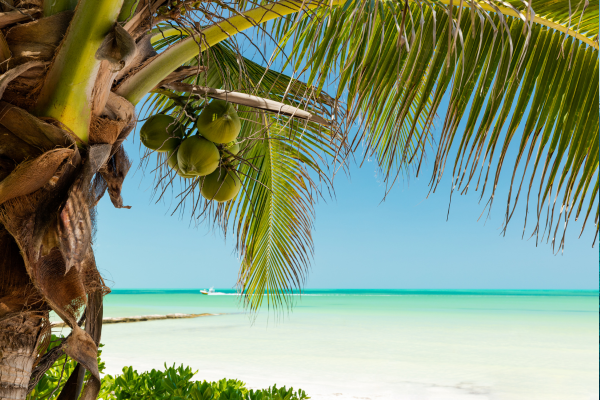 Circuit Secrets Mayas et Douceurs des Caraïbes en Privatif - Vols Flex - 9