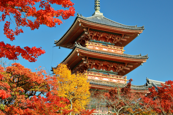 Circuit Japon dHier et dAujourdhui, Tokyo et Kyoto en Liberté 4*